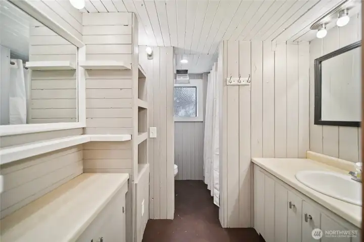 Lower level bathroom
