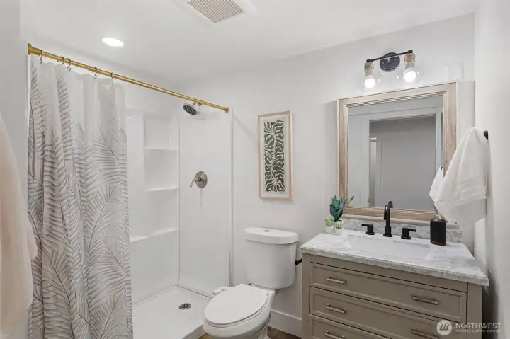 Lower level bathroom