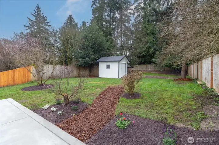 Lots of room in the fully fenced backyard.