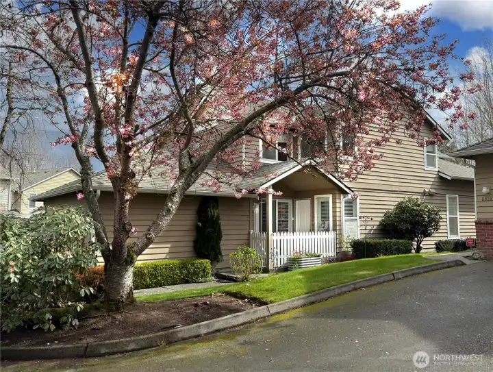 Charming updated  townhome with fenced-in backyard near Boeing!