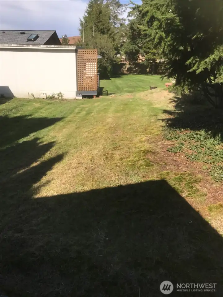 Backyard leads to large common space