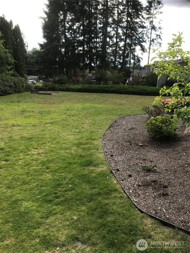 Nice yard behind clubhouse