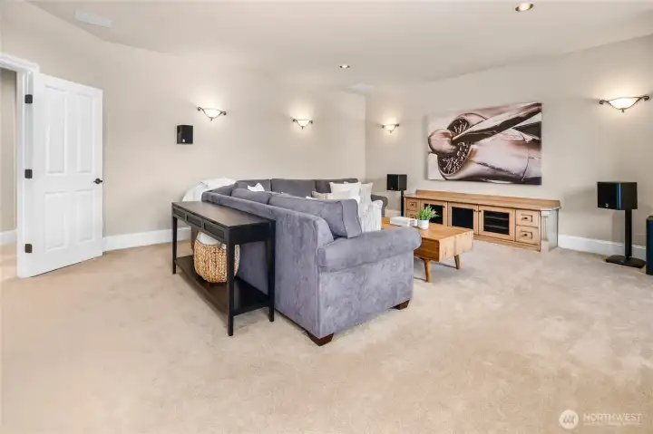 Bonius room/theatre with wet bar!