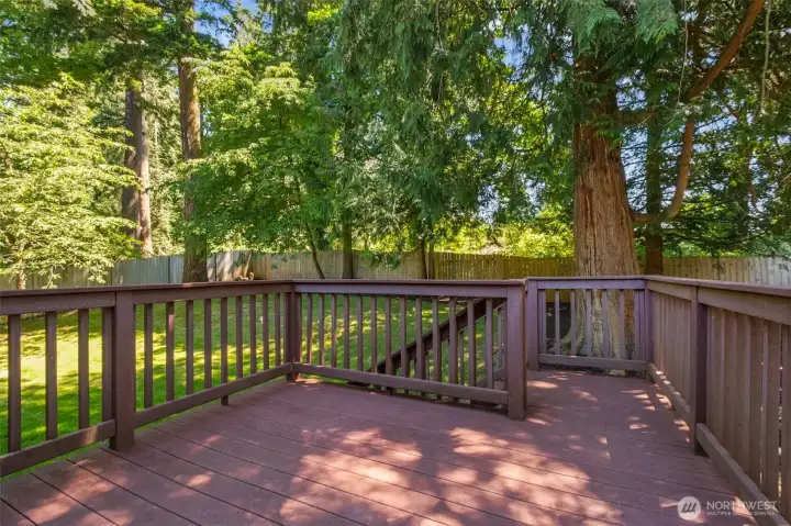Love the large 2006 Trex Deck !! Easy access off the dining room & kitchen makes it THE spot to be for summer barbecues!
