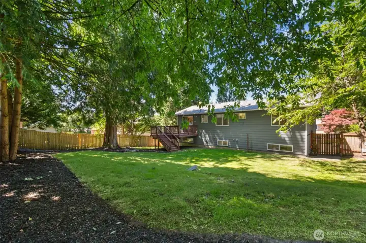 The large fully fenced backyard presents as a park-like setting, thanks to the old growth trees - and provides wonderful privacy!