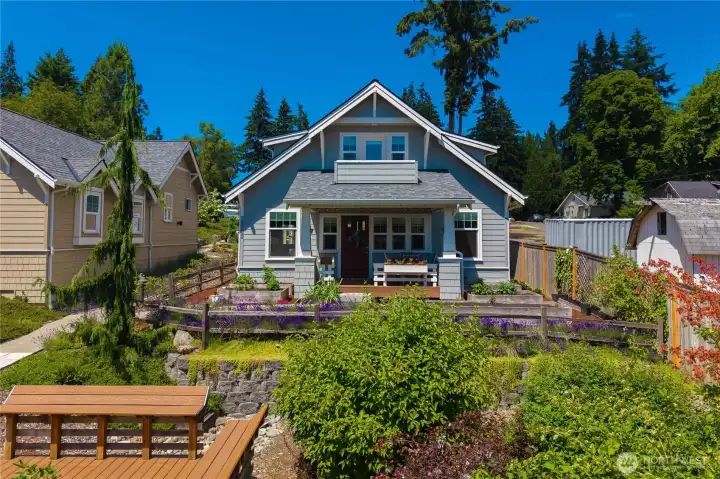 Beautiful rain gardens