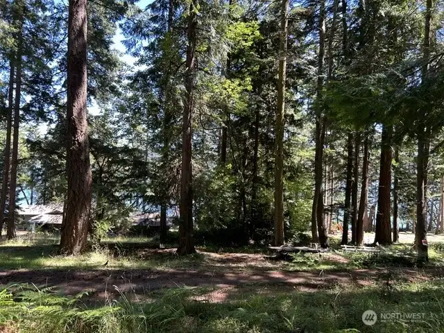 Lower property looking toward Mud Bay Lower property looking toward Mud Bay