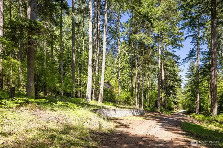 Looking to the north from southeast corner of property. Looking to the north from southeast corner of property.