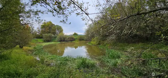 Klee Pond was once part of a thriving commercial trout farm.
