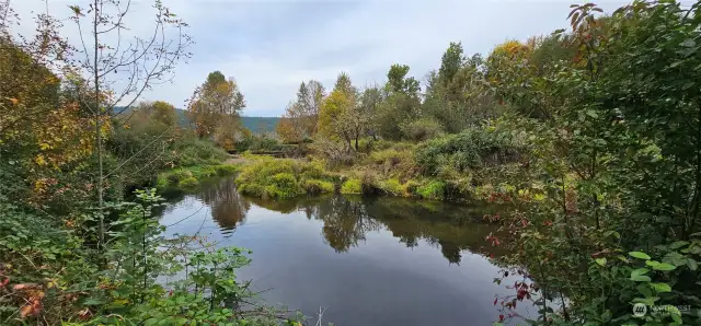 The South Fork of the Chehalis River is below.