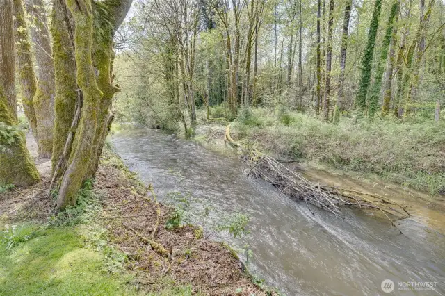 A view of Issaquah Creek as it runs to Lake Sammamish
