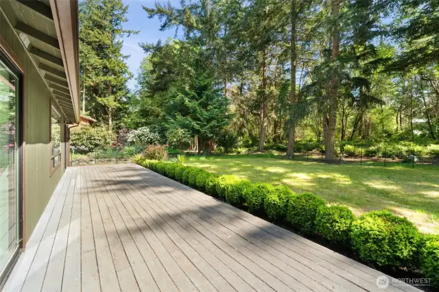 Backyard Deck great for entertaining!