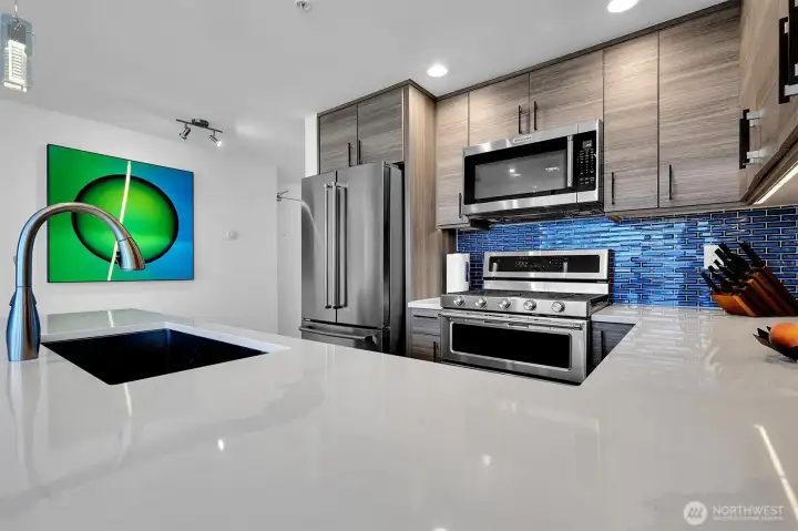 Gorgeous high-quality quartz counters, large undermount sink, new appliances.