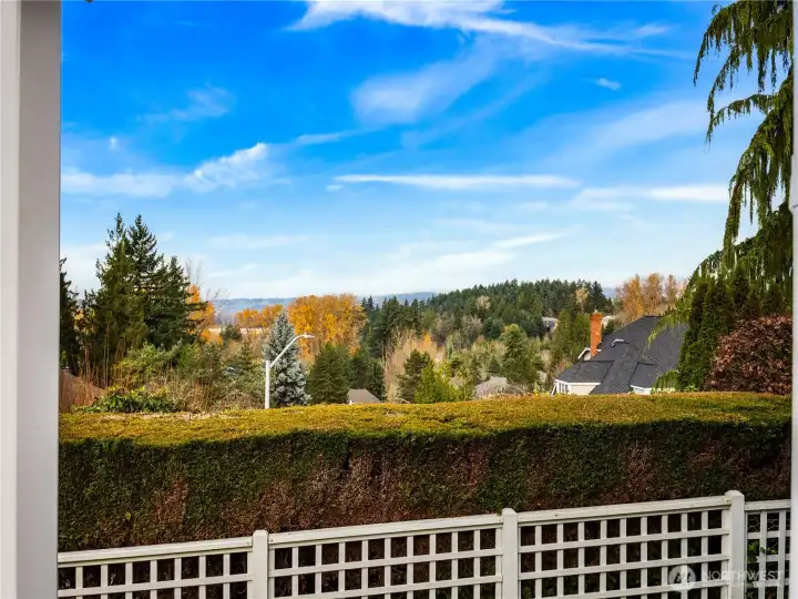 Enjoy sweeping territorial views framed by mature greenery, offering a peaceful and picturesque backdrop year-round