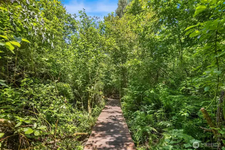 ~1/3 mile private  wooded trail loop that meanders through the trees.