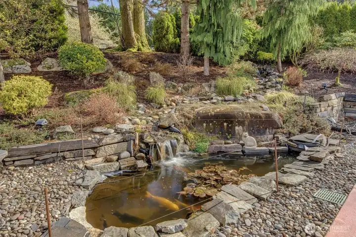 Would not be complete without a water fall and Koi pond.