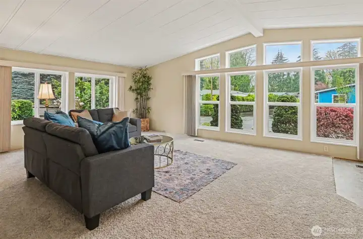 Expansive windows throughout