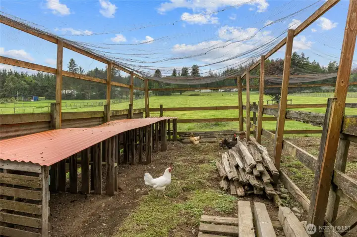 Chicken coop looks out to the fully fenced acreage!  Bring the horses home too!  There is two concrete-floored stall areas too!