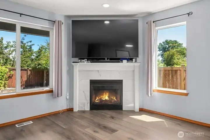 Gas Fireplace Gas Fireplace