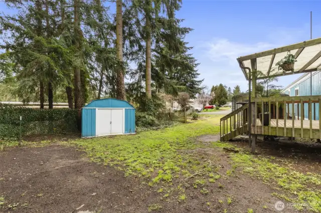 Yard for garden or dog run.