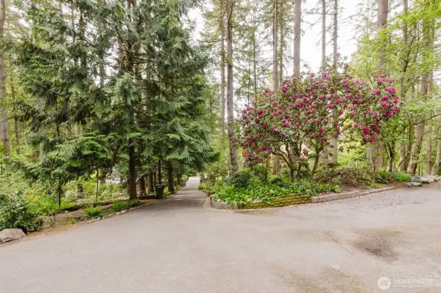 As you leave the home, the view of the road is framed by scenic surroundings, offering a peaceful, tree-lined pathway that leads you away from this serene retreat and into the beauty of the surrounding area.