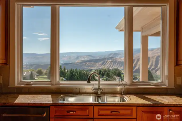 Dishes are no longer a chore with this view