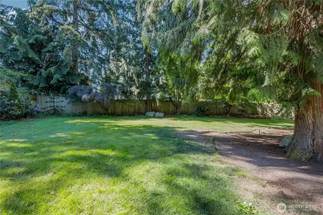 The large backyard