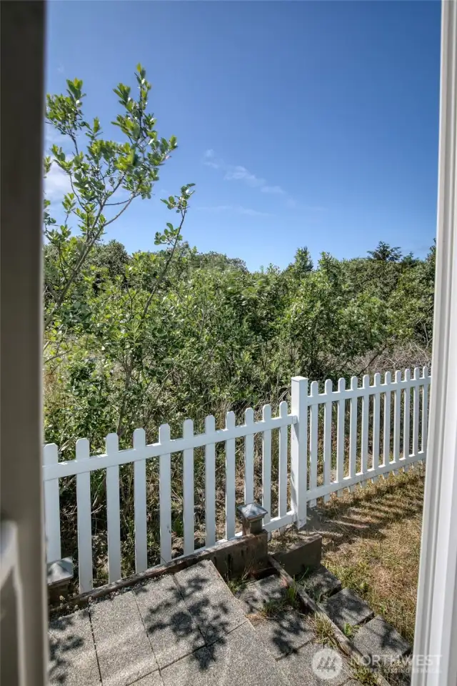 A look outside the sliding door into the side yard.