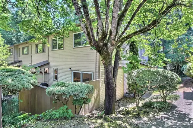 Beautifully updated 3bd end unit in a peaceful, lush woodland setting! Over 1400SF with stylish upgrades, fresh designer paint, new laminate flooring & thoughtful details.
