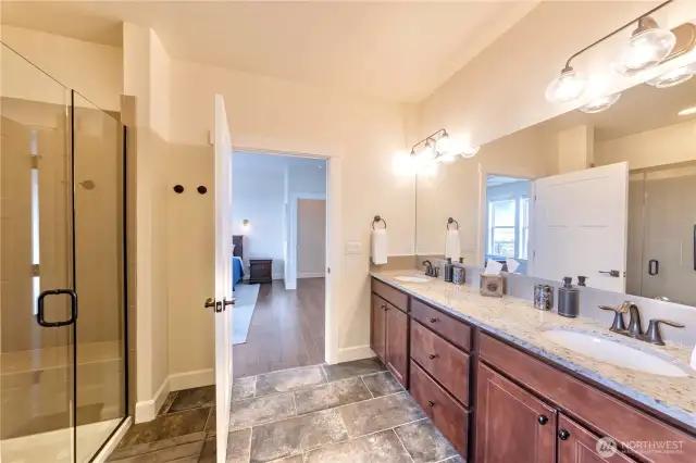 Primary spa-like bathroom