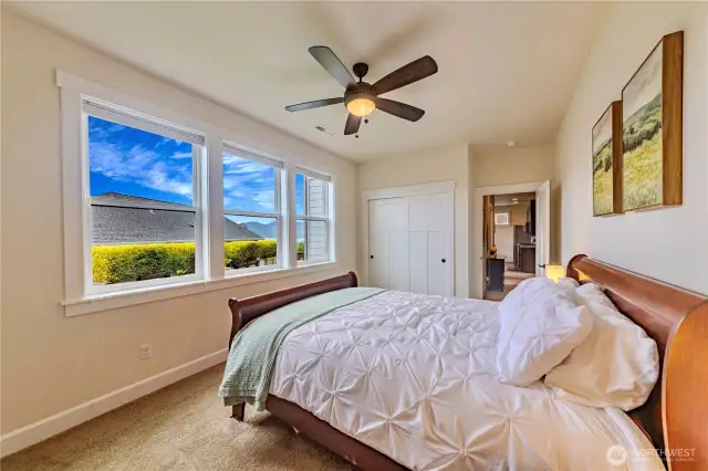 Downstairs bedroom and view
