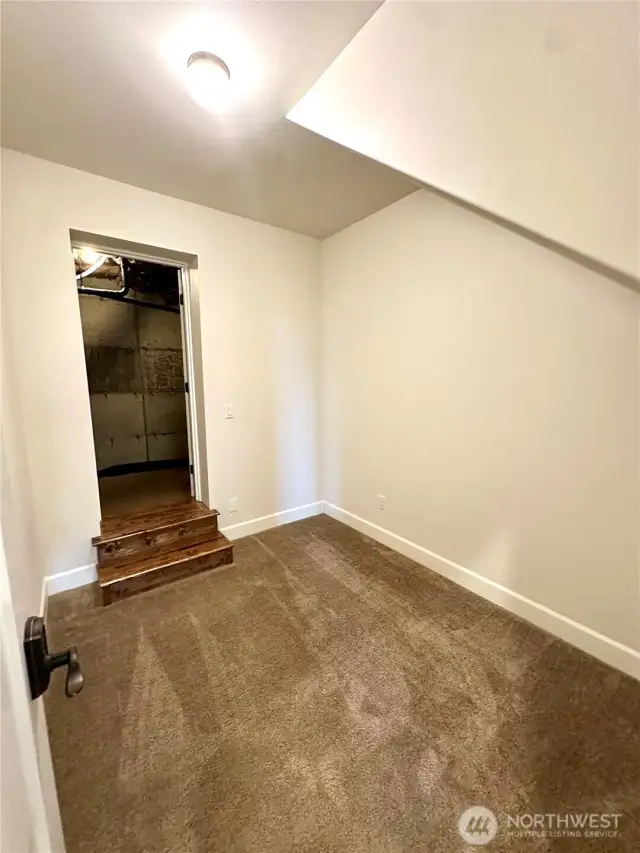 Storage room that leads to extra storage space