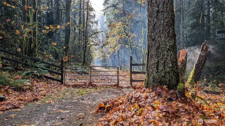 Trails are located throughout the Glen at Maple Falls