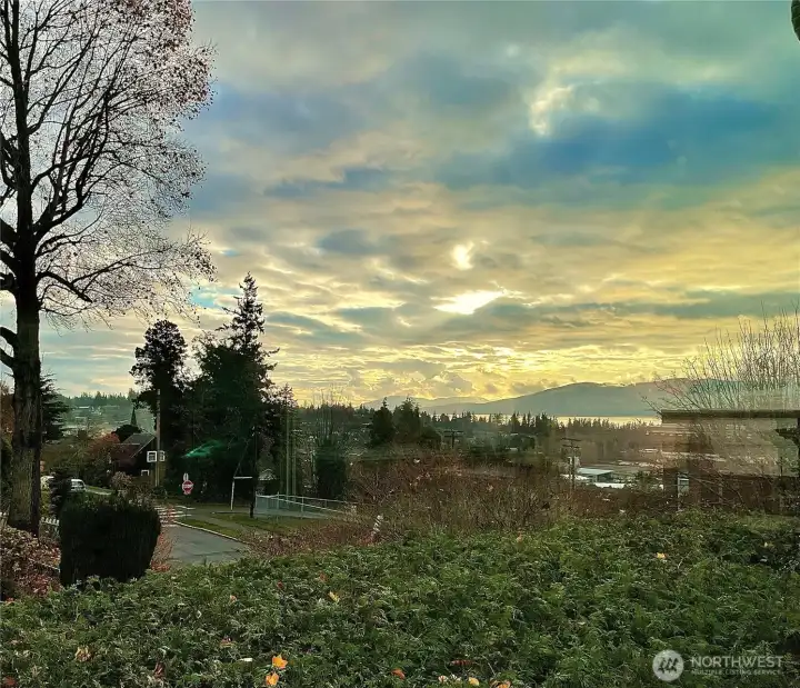 View from Primary bedroom