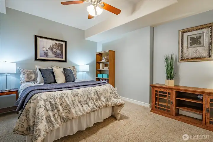 Lower level flex room