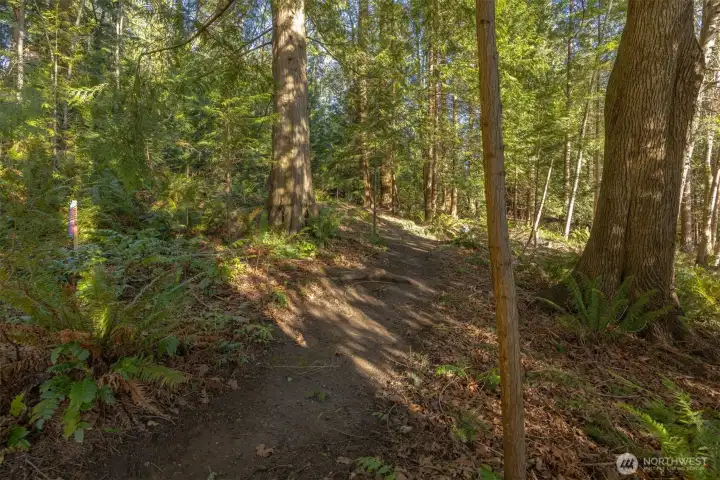 The trail system runs along the upper portion where the railroad used to be. This property does own the vacanted railroad right-of-way.