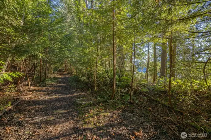 More trail photos through this community.