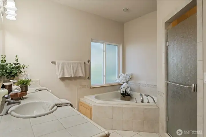 Primary bathroom with large soaking tub, walk-in shower, and an extra large closet just around the corner. Primary bathroom with large soaking tub, walk-in shower, and an extra large closet just around the corner.
