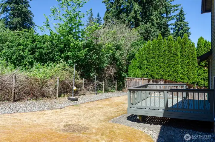 back yard with deck back yard with deck
