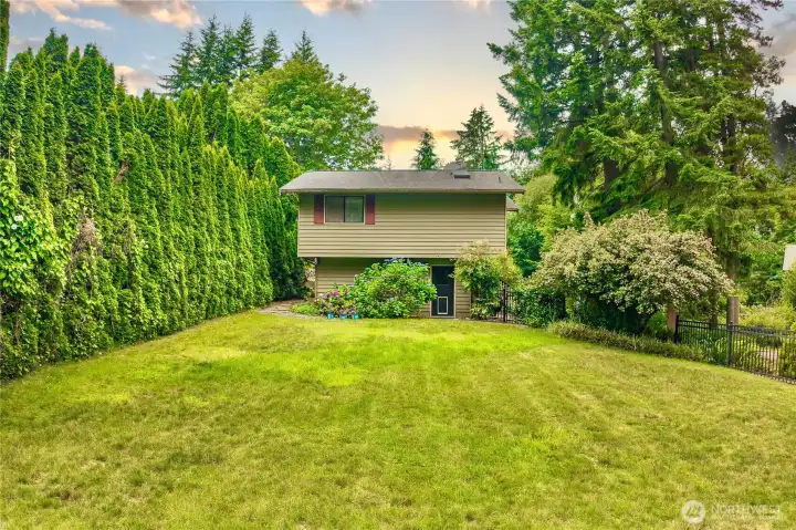 This is the really large and private side yard with door to the garage.