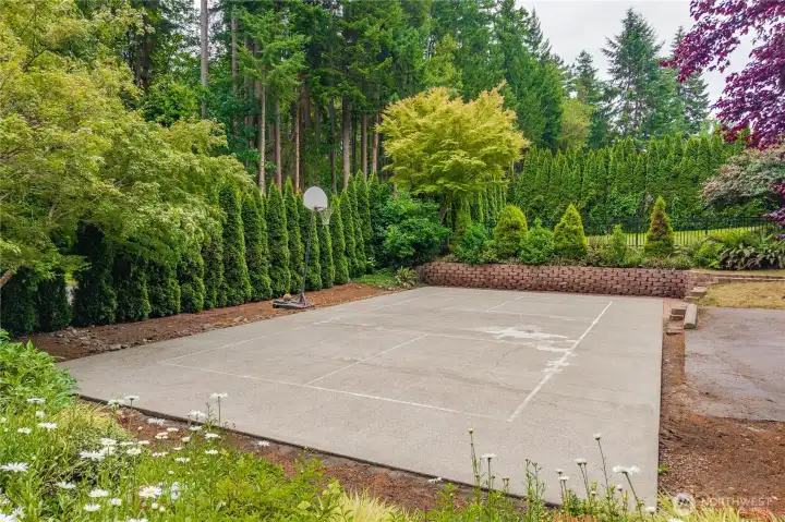 Sports court for basketball or pickleball.