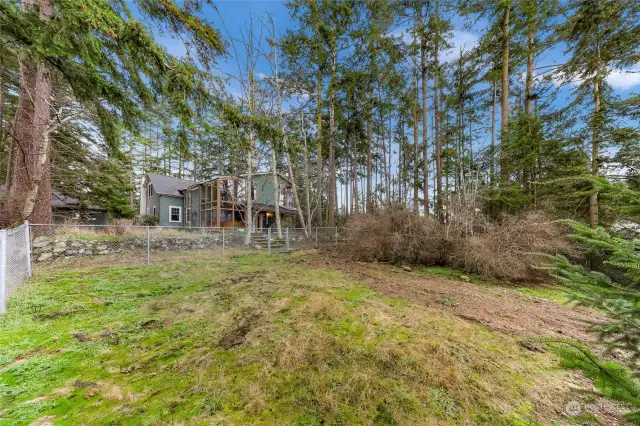 Scenic backyard with tall trees providing privacy and shade.