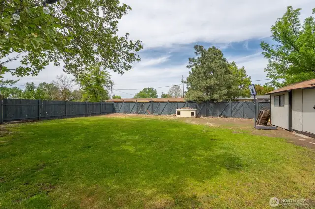 Backyard