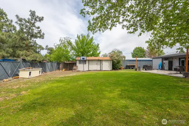 Backyard