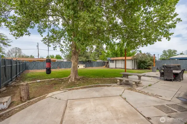 Backyard