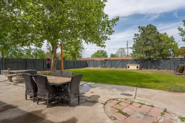 Back Yard from patio