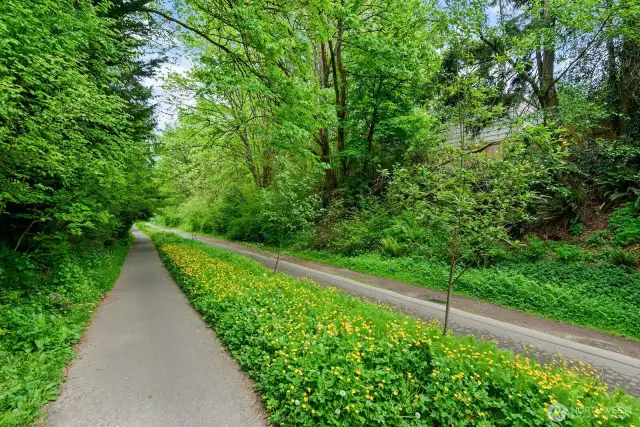 The Burke-Gilman Trail runs directly behind this Home.