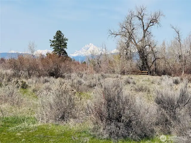 Views of the Stuart Mountain Range.