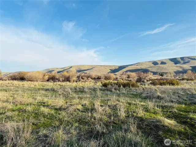 Views of Manastash Ridge.