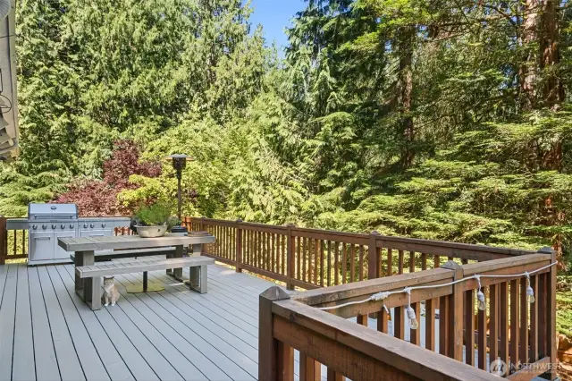 Whether you’re hosting a summer party, enjoying crisp autumn nights, or sipping coffee on a quiet morning, this outdoor oasis is designed to be used year-round. View of the deck; feels like a treehouse from several vantage points! New trex like decking material.